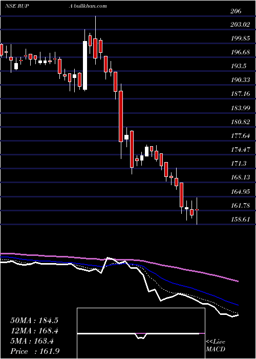  Daily chart RupaCompany