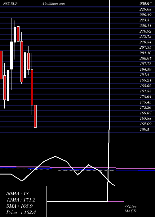  monthly chart RupaCompany