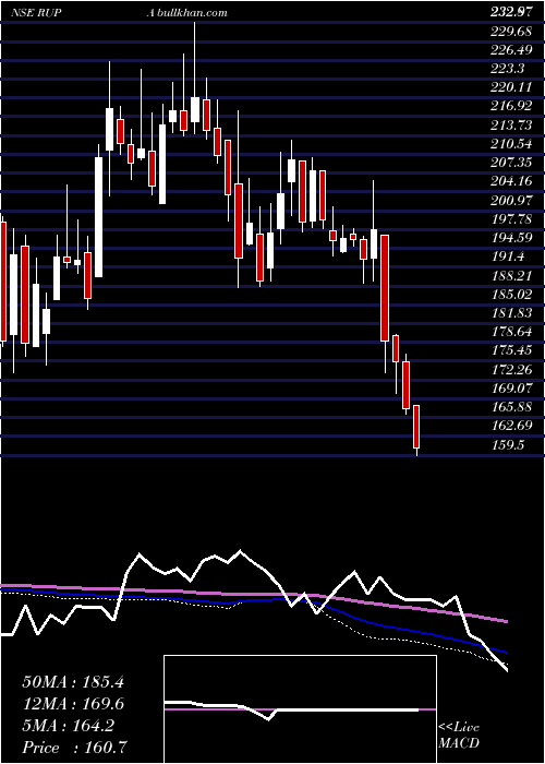  weekly chart RupaCompany