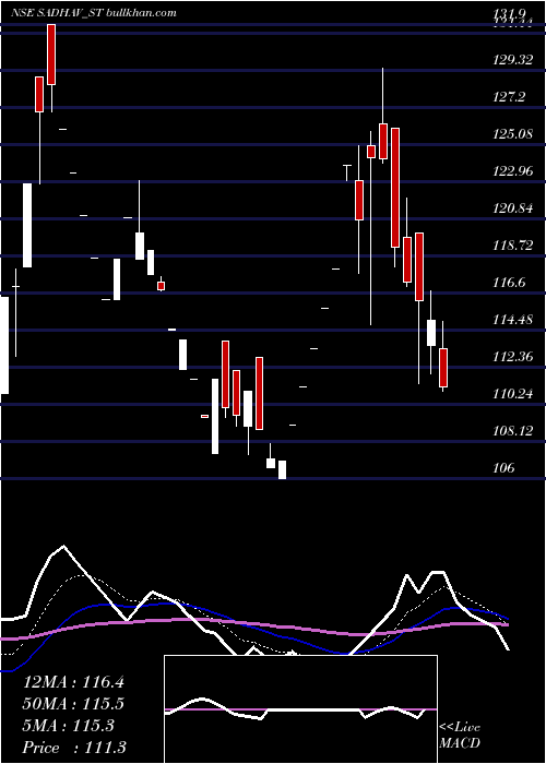  Daily chart SadhavShipping