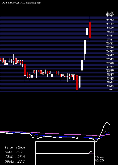  Daily chart SecurekloudTech
