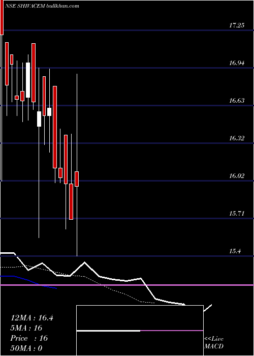  Daily chart ShivaCement
