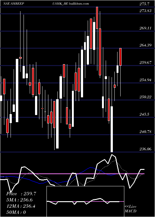  Daily chart ShrePush