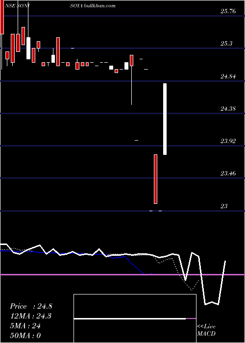  Daily chart SoniSoya