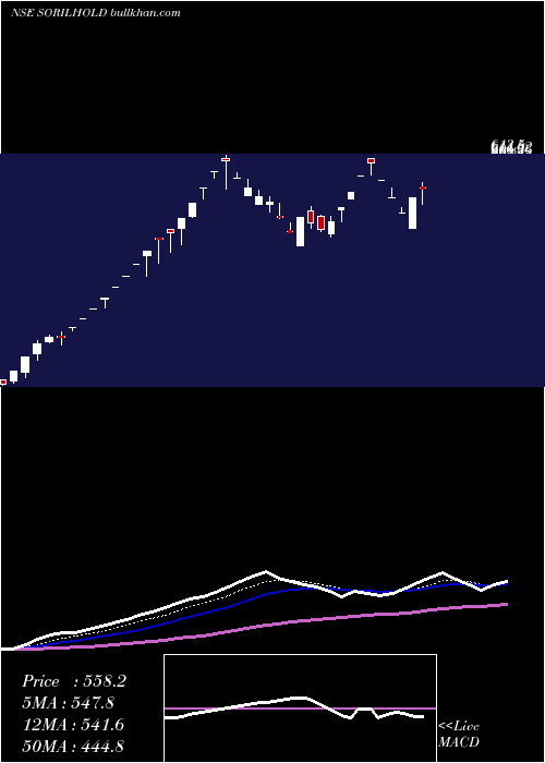  Daily chart SorilHoldings