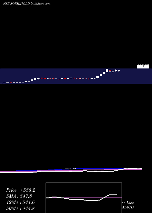  weekly chart SorilHoldings
