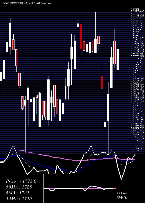  Daily chart SpectrumElectric