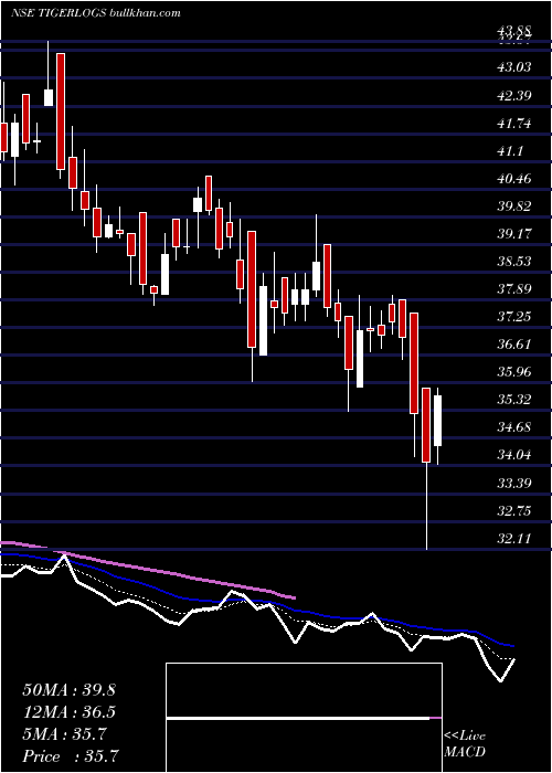  Daily chart TigerLogistics