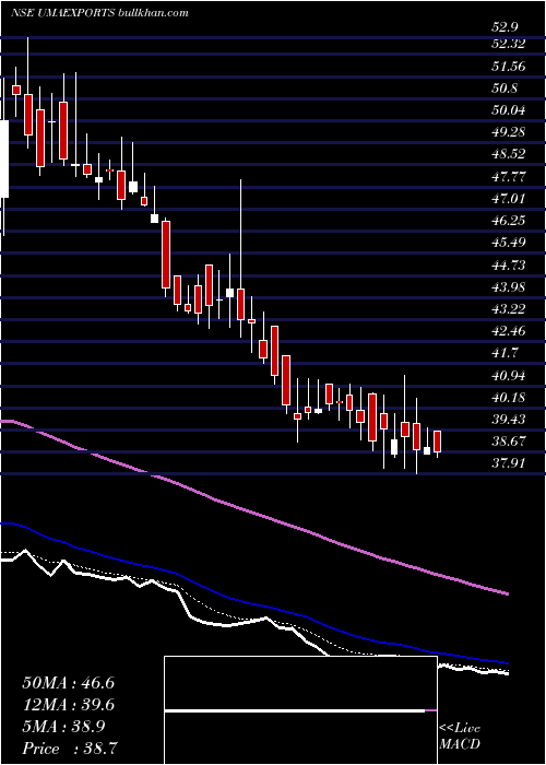  Daily chart UmaExports