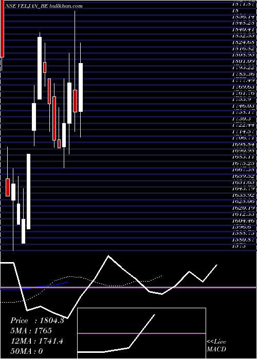  Daily chart VeljanDenison