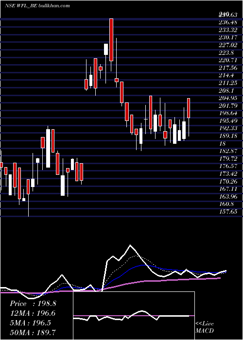  Daily chart WonderFibromats