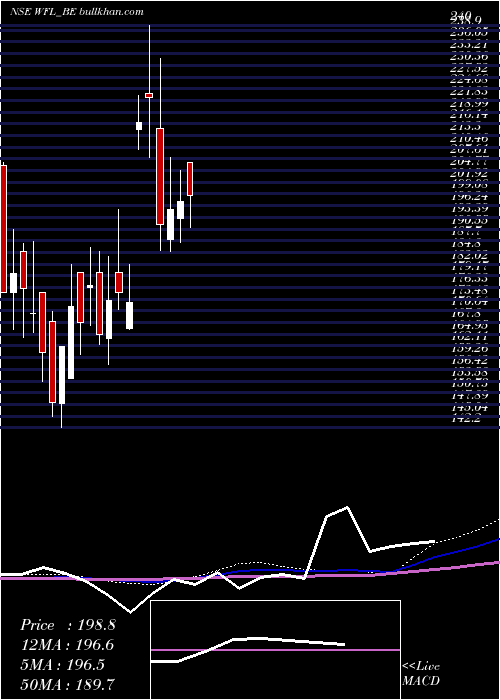  weekly chart WonderFibromats