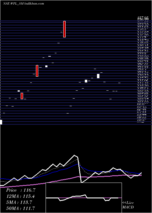  Daily chart WonderFibromats