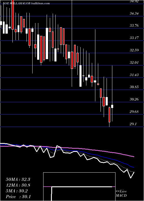  Daily chart WilliamsonMagor