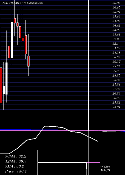  monthly chart WilliamsonMagor