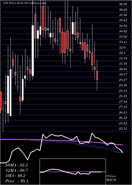  weekly chart WilliamsonMagor