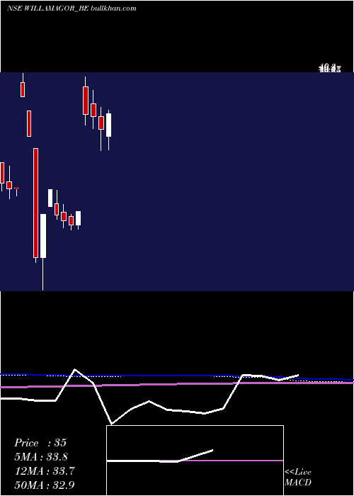  monthly chart WilliamsonMagor