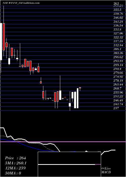  Daily chart WinnyImmigra