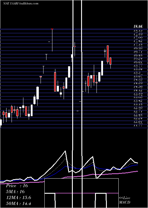  Daily chart YaariDigi
