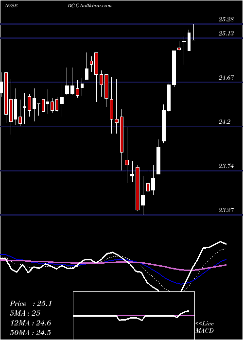  Daily chart BrunswickCorp