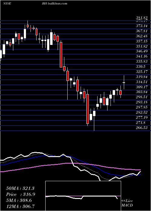  Daily chart BiglariHoldings