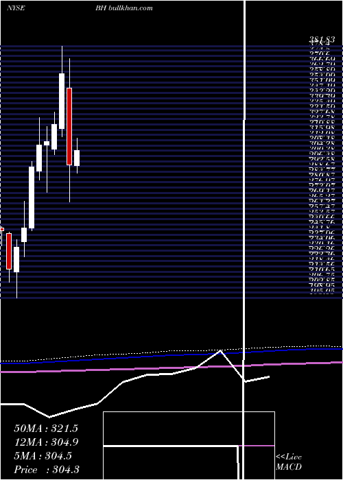  monthly chart BiglariHoldings