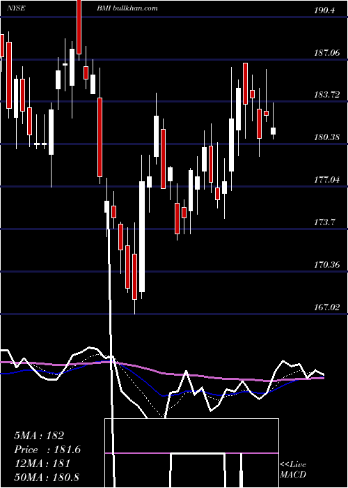  Daily chart BadgerMeter