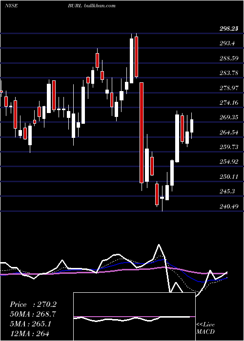  Daily chart BurlingtonStores