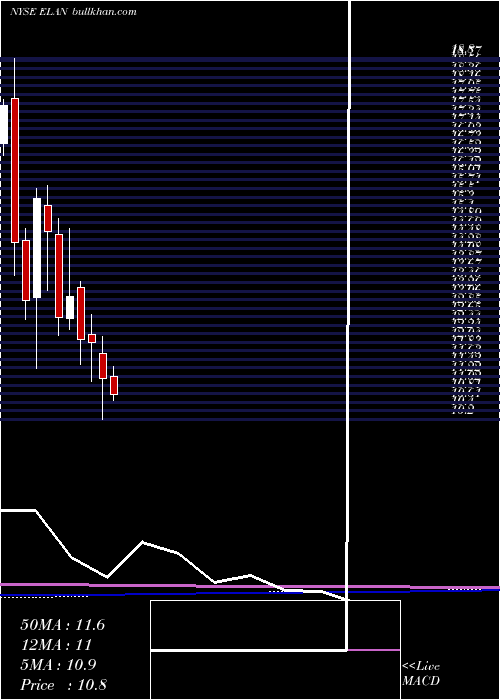  monthly chart ElancoAnimal