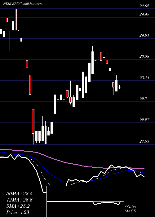  Daily chart EntertainmentPrp