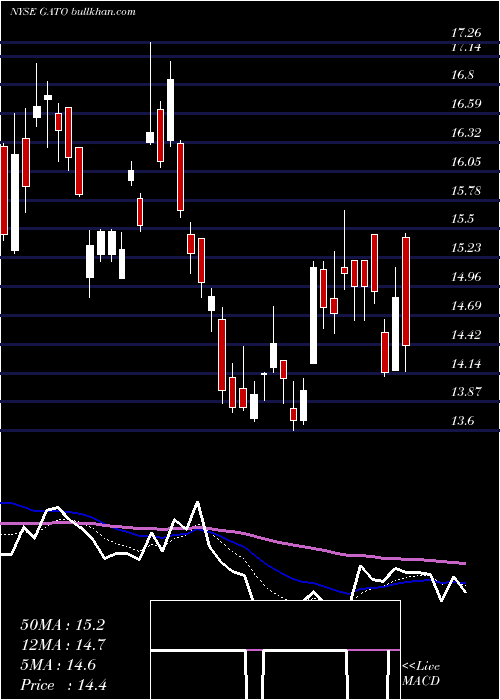  Daily chart GatosSilver