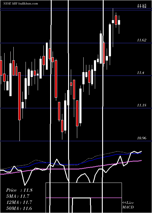  weekly chart BlackrockMuniyield