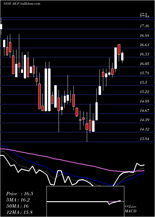  Daily chart MauiLand