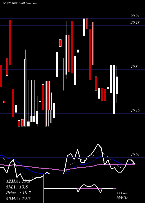  Daily chart BaringsParticipation