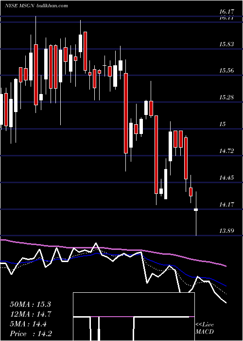  Daily chart MsgNetworks