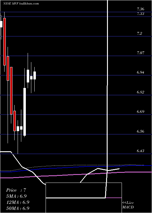  monthly chart MunivestFund