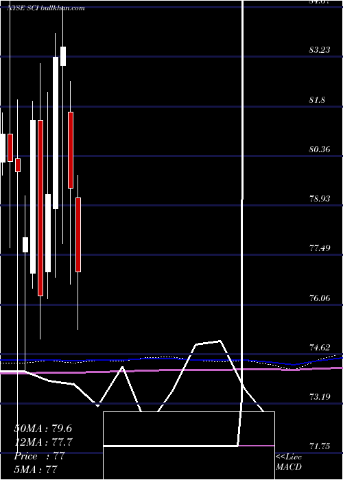  monthly chart ServiceCorporation