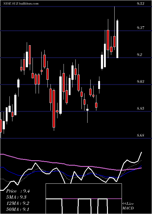  Daily chart SuzanoPapel