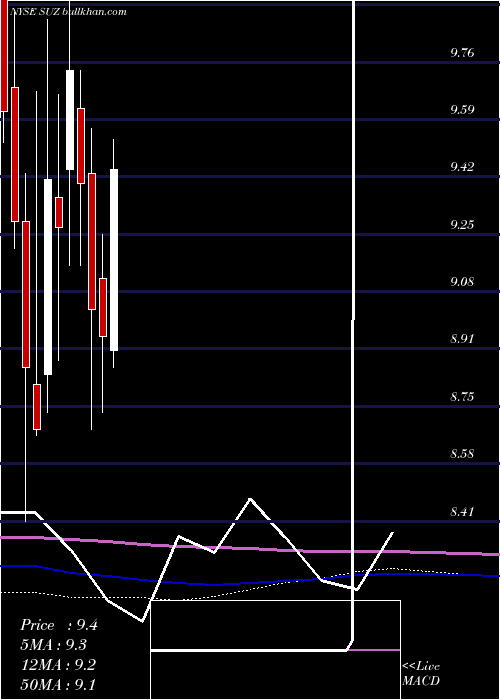  monthly chart SuzanoPapel