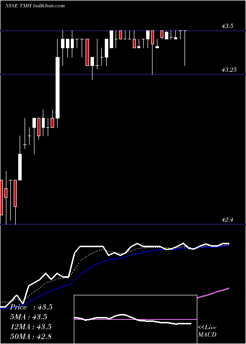  Daily chart TeamHealth