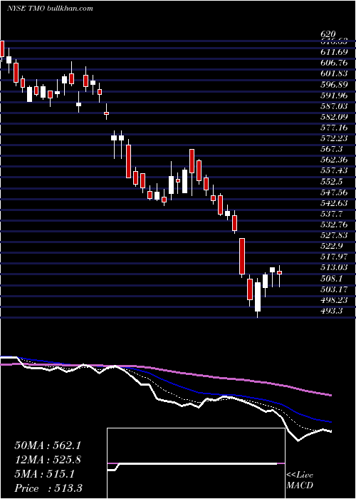  Daily chart ThermoFisher