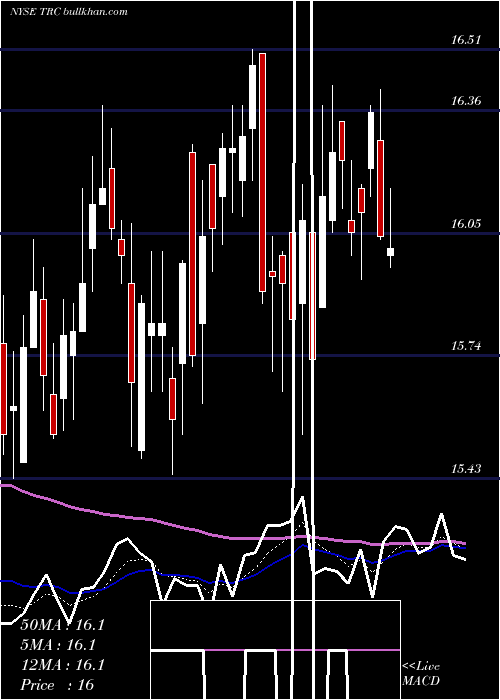  Daily chart TejonRanch