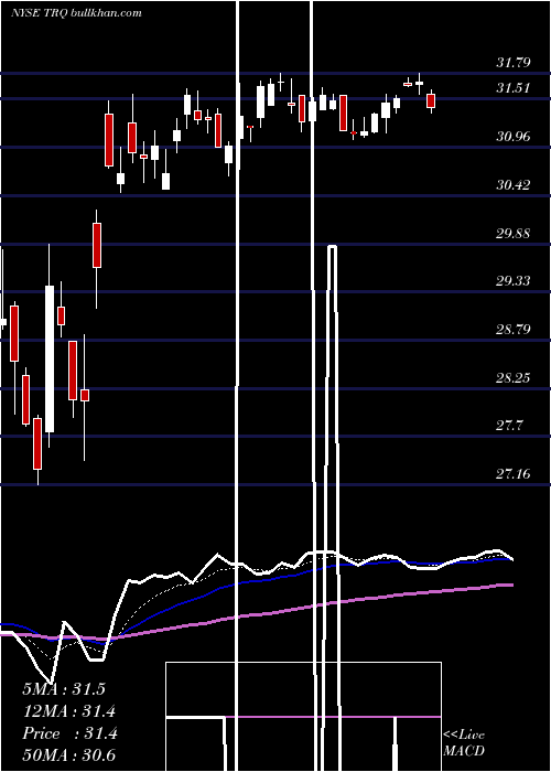  Daily chart TurquoiseHill