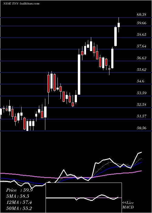  Daily chart TysonFoods