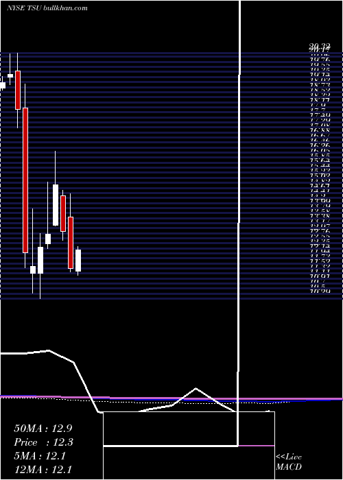  monthly chart TimParticipacoes