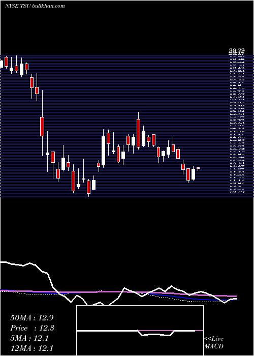  weekly chart TimParticipacoes