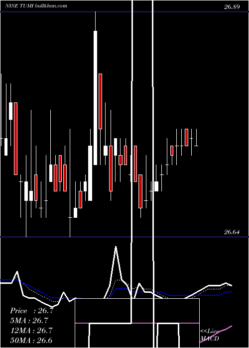  Daily chart TumiHoldings