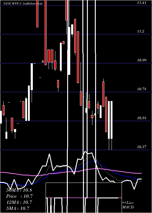  Daily chart FoleyTrasimene