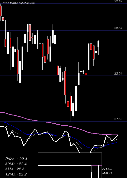  Daily chart BerkleyW