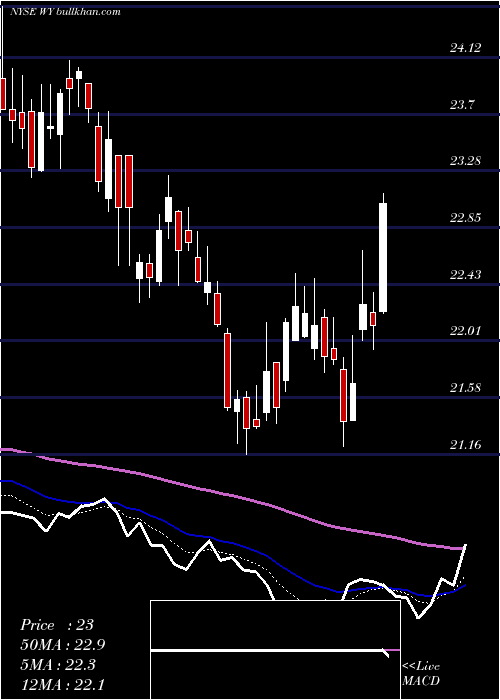  Daily chart WeyerhaeuserCompany